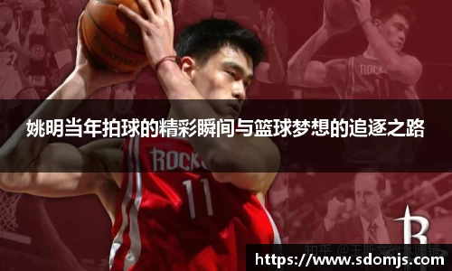 姚明当年拍球的精彩瞬间与篮球梦想的追逐之路